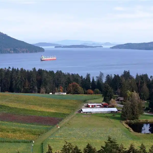 CHERRY POINT ESTATE WINES