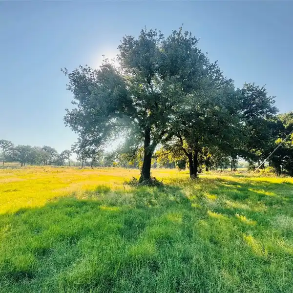 15 ACRES OF TRANQUILITY