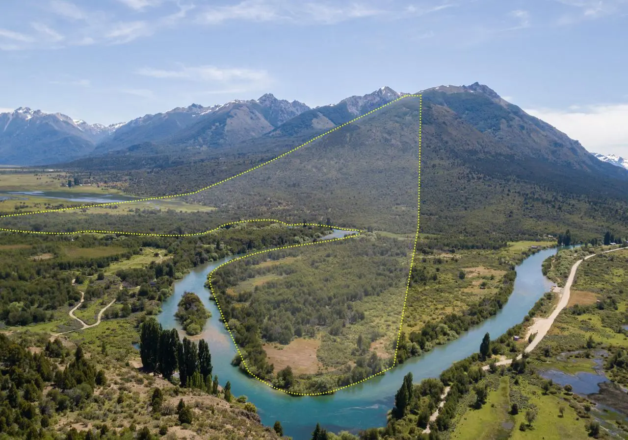 Large Image