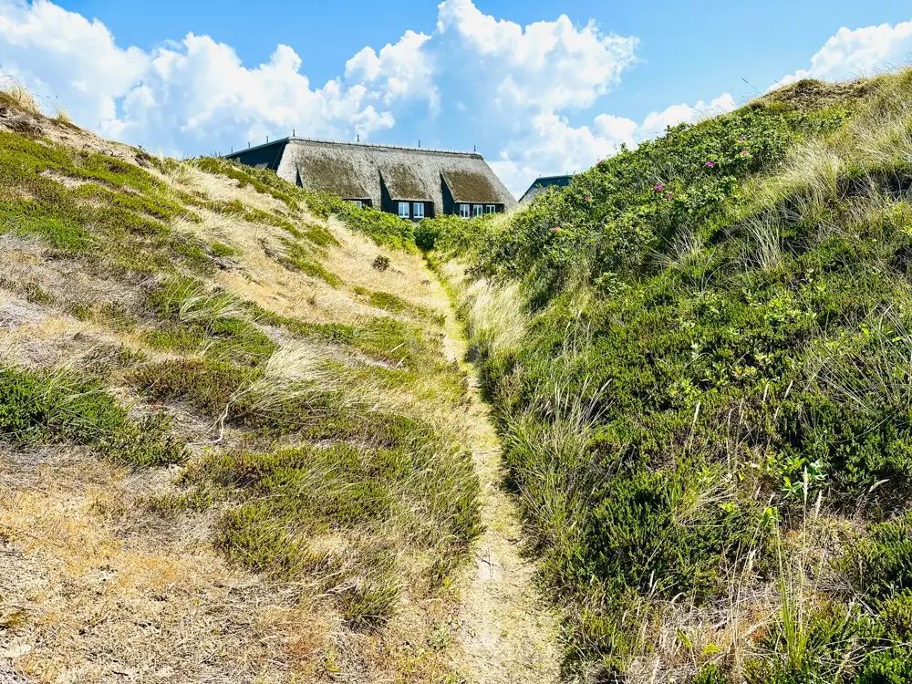 Large Image