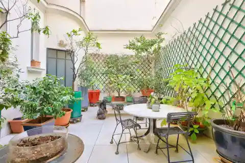 Classic Haussmann Living with Sunny Courtyard Access