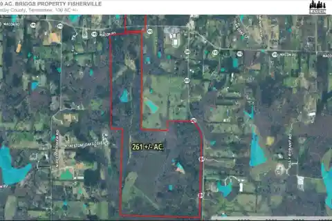 261 Acres with Beautiful Home Sites