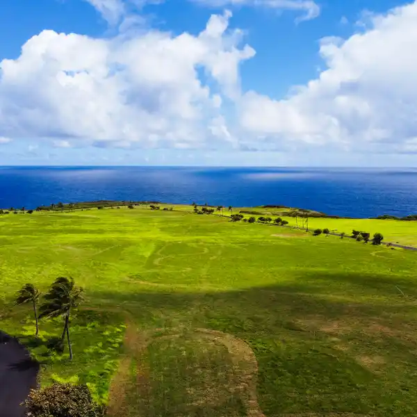 THE CROWN JEWEL OF PE’AHI FARMS