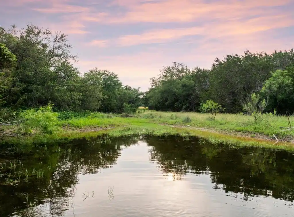 50 Acres at Muleshoe Bend