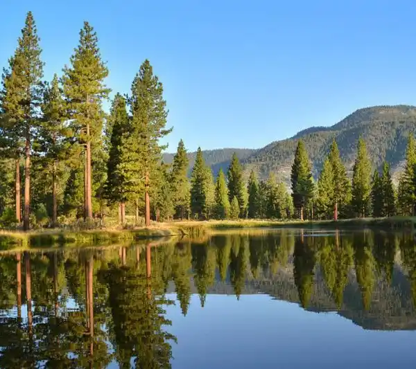 MORE THAN TWO ACRES IN CLEAR CREEK TAHOE