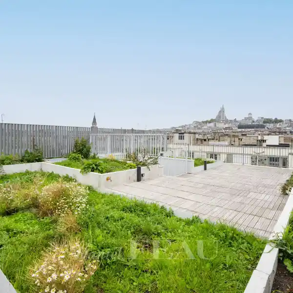 PANORAMIC ROOFTOP LIVING WITH SACRé-CœUR VIEWS