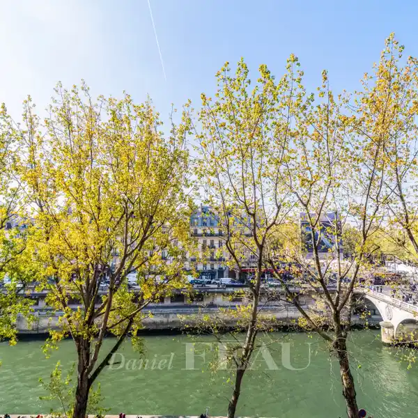 LOVELY APARTMENT OVERLOOKING THE SEINE