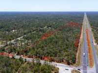 EXPANSIVE PARCEL IN WEEKI WACHEE