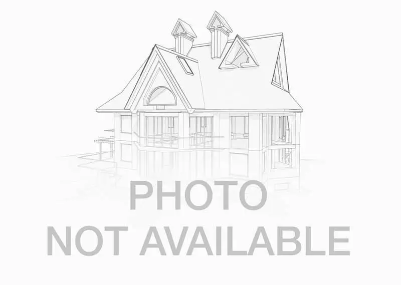 Large Image
