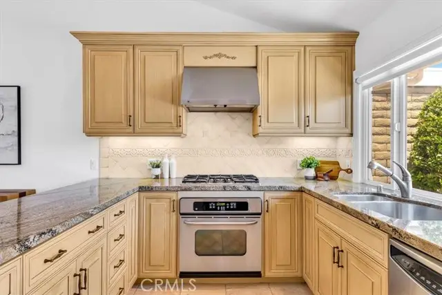 Large Image
