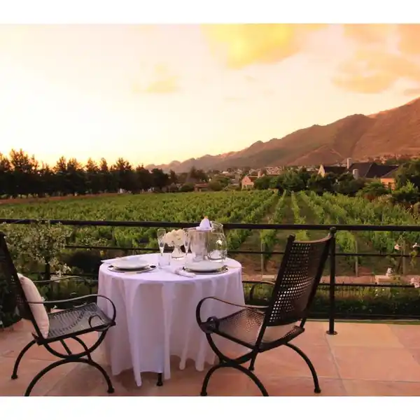 VINEYARD SERENITY MEETS MODERN LUXURY LIVING