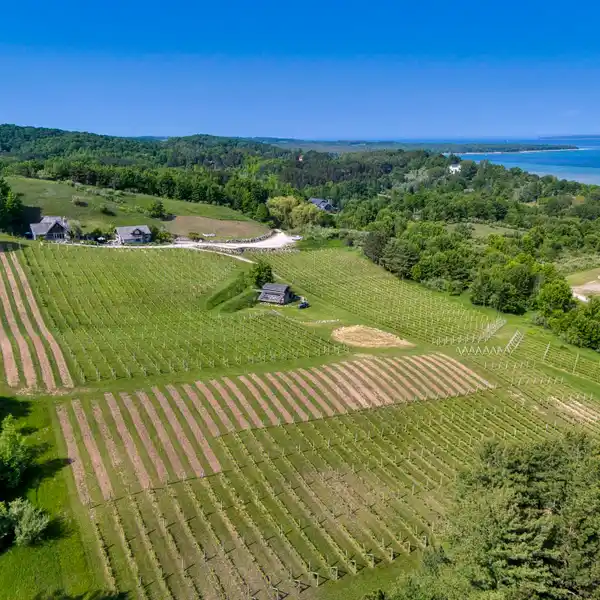 WILLOW WINERY & VINEYARD