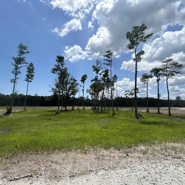 EXPANSIVE PROPERTY WITH ENDLESS POTENTIAL