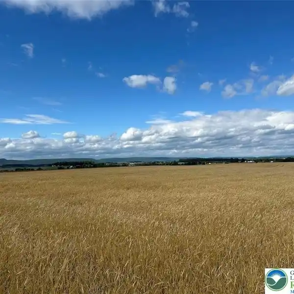 CREATE A DREAM RETREAT ON 24 ACRES