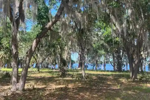 Stunning Riverfront Property in Palatka