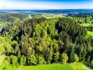 Majestic and Secluded Wooded Acreage