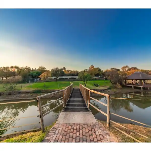EXQUISITE EQUESTRIAN COUNTRY MODERN HOME