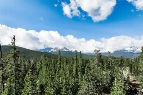 Nine Acre Homestead Within a Prestigious Gated Community