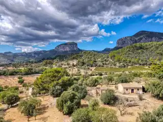 Expansive Property Offering Unique Possibilities