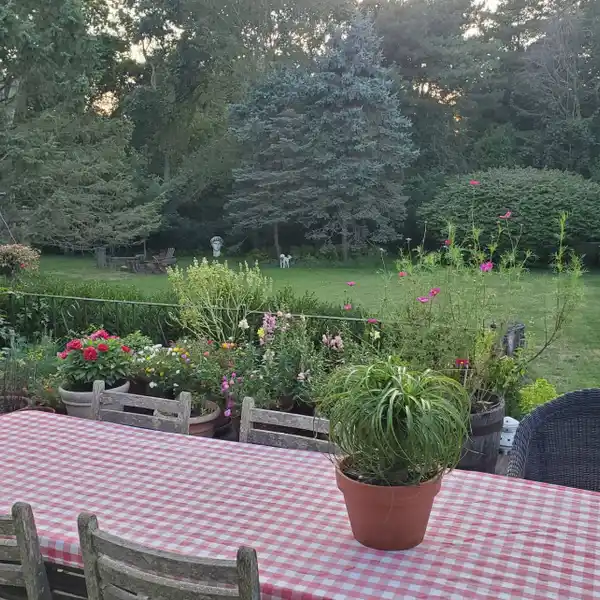 DELIGHTFUL RENTAL HOME