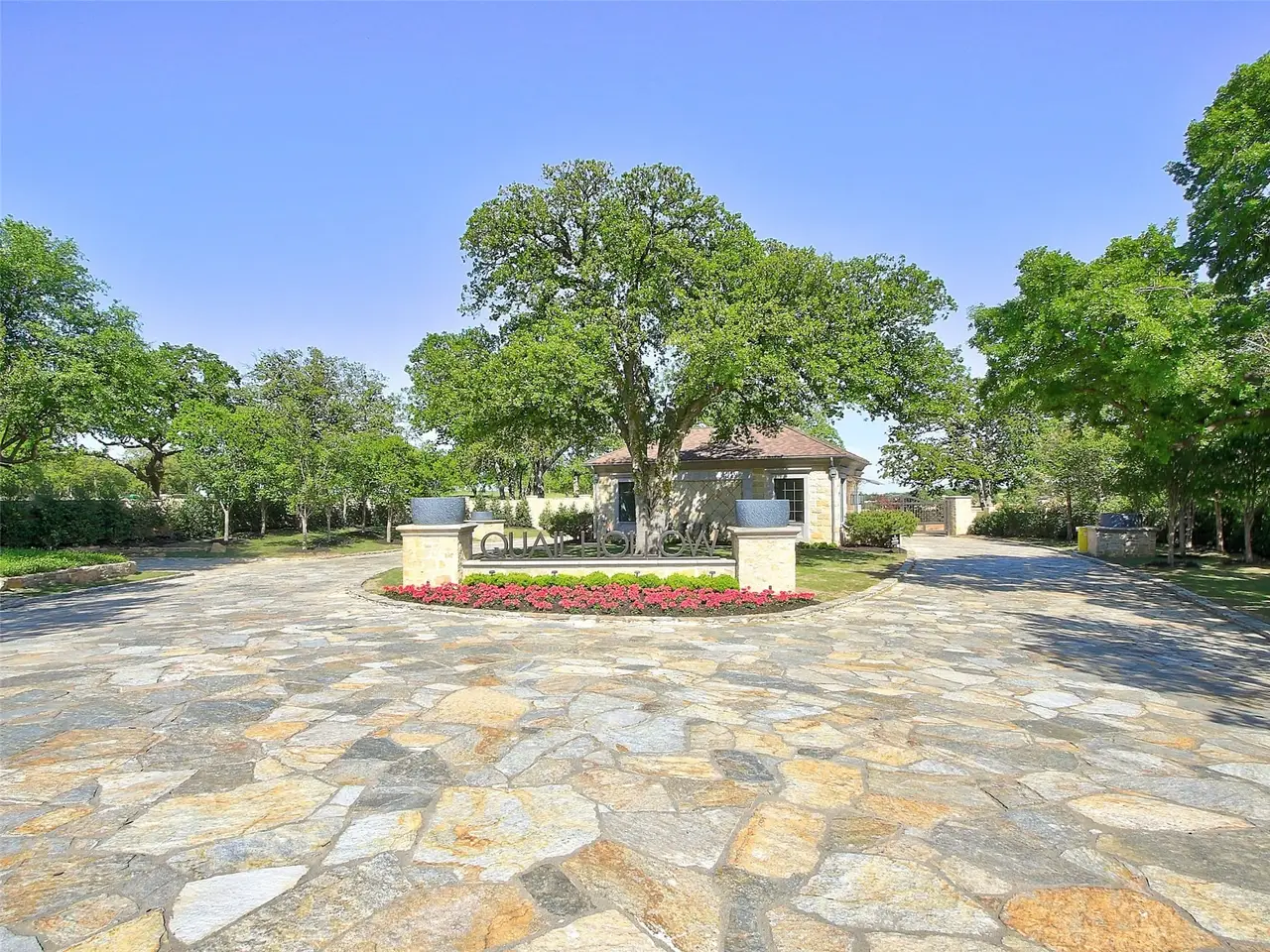 Large Image