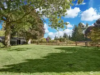 Amazing Opportunity in Bridle Trails