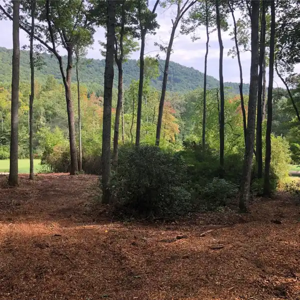 EASILY-BUILDABLE PARCEL IN A PRESTIGIOUS GATED COMMUNITY