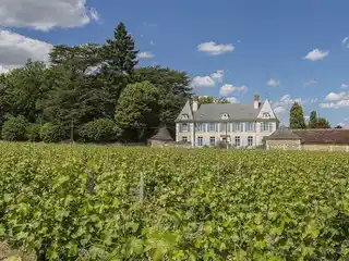 Elegant Manor House in Perfect Condition