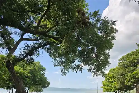 Boating Enthusiasts Dream Lake Ray Hubbard Home