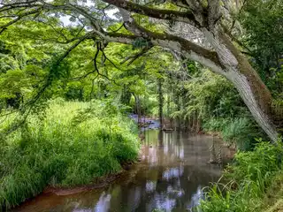Hidden Oasis Nestled in the Keapana Valley