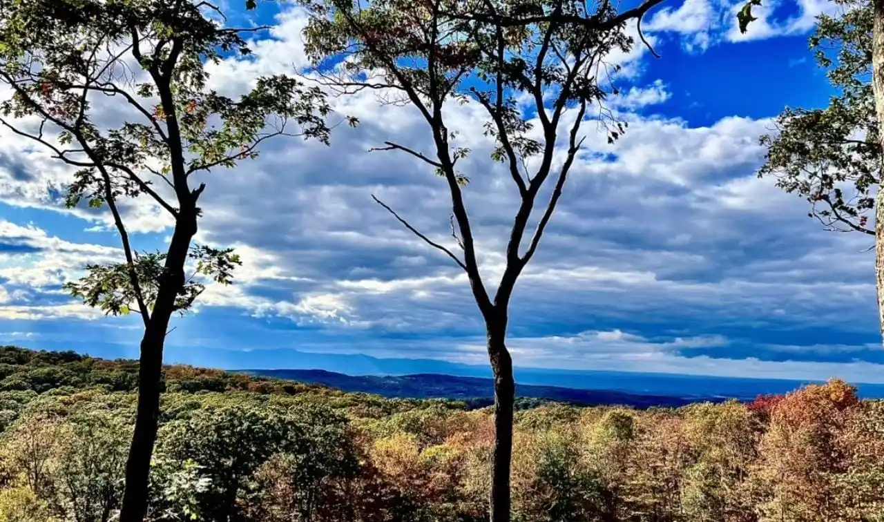 Create a Dream Compound on 275 Acres