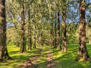 Amazing Lot in Heredia