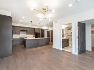 Lovely Home at the Base of Mount Royal