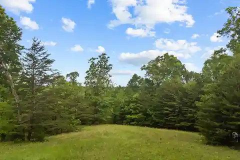 Rare 77-acre Property