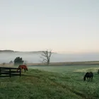 Ranch