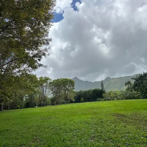 5.5 ACRES ON THE NORTH SHORE OF KAUAI