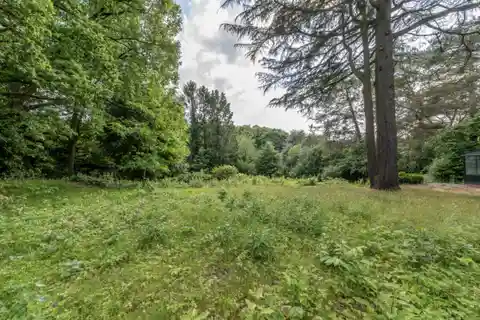 Sun-Filled Rural Retreat with Nature Surroundings