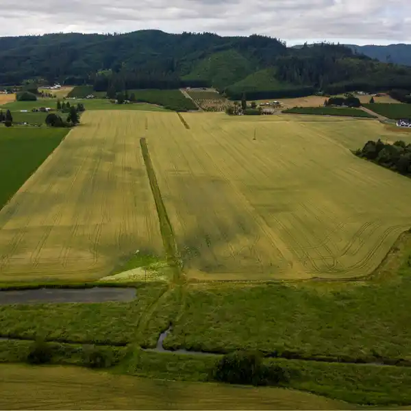 BUILD A DREAM HOME ON 112 ACRES