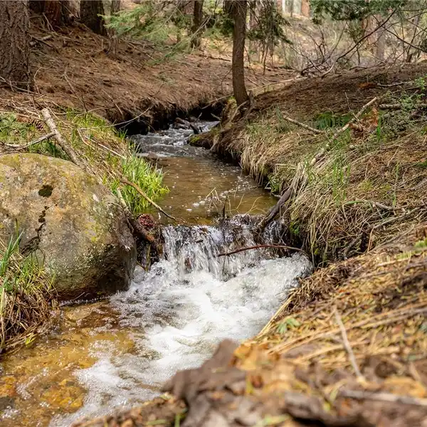 ROSEWOOD CREEK DREAM LOT