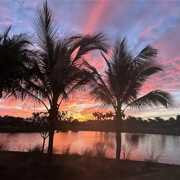 EXQUISITE RESIDENCE IN THE ISLES OF COLLIER PRESERVE
