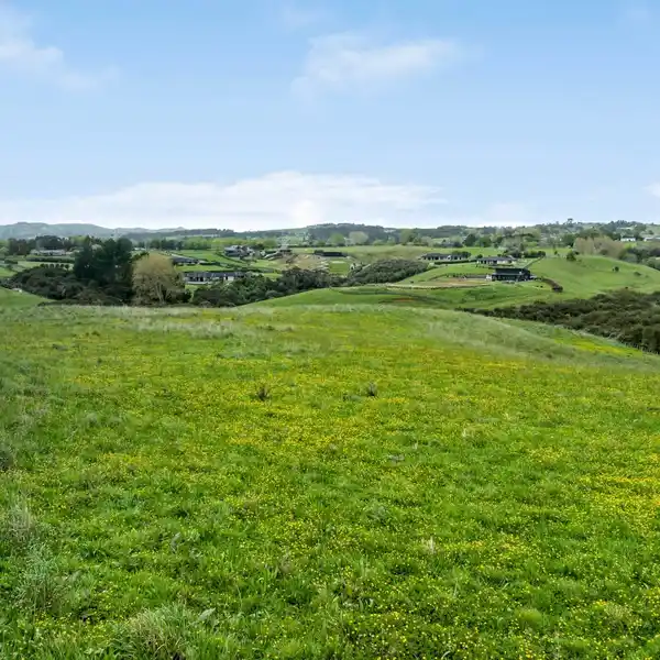 EXPANSIVE LIFESTYLE CANVAS WITH ENDLESS POSSIBILITIES