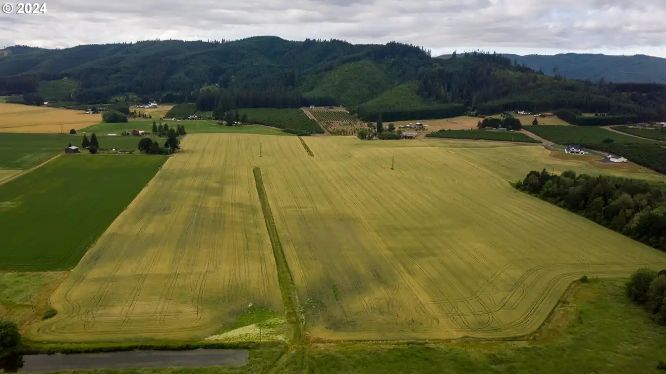 Build a Dream Home on 112 Acres