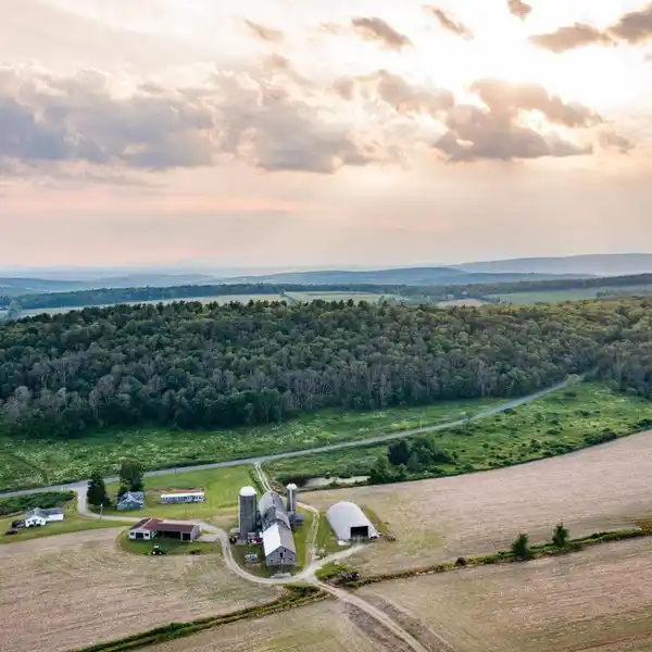 Farm