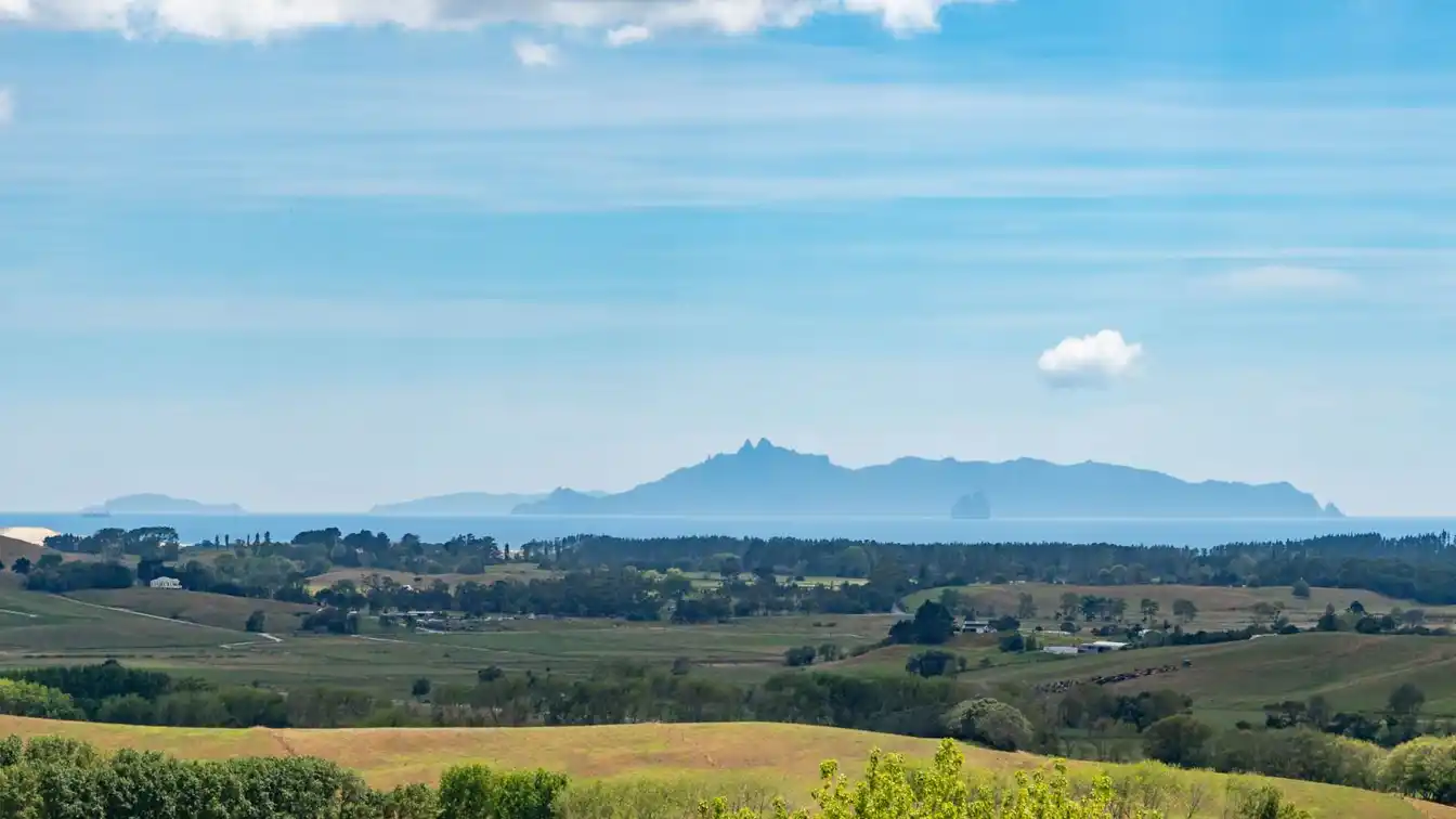Te Arai Point Legacy