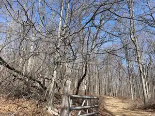 Build a Home on 11 Wooded Acres