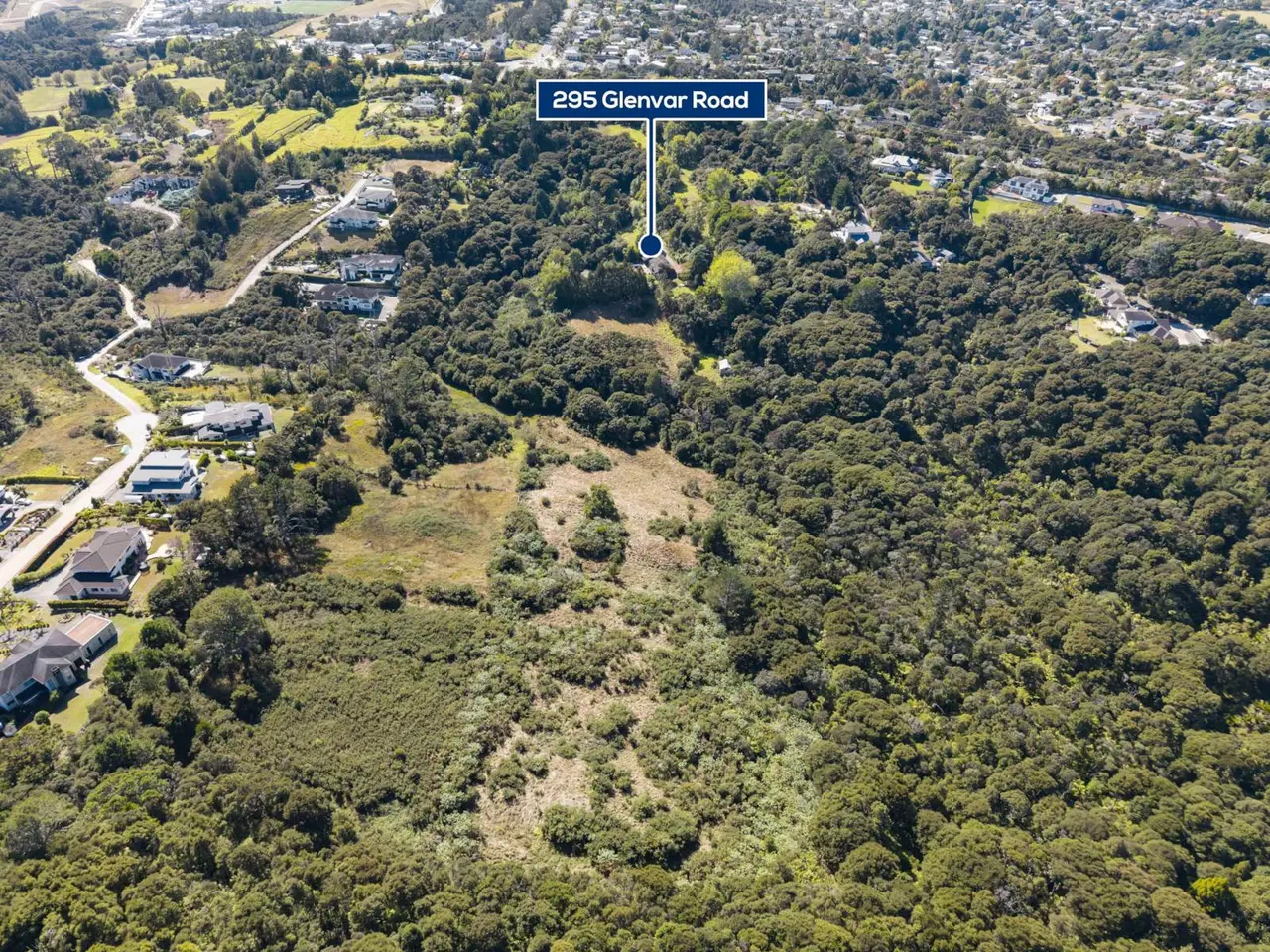 Large Image