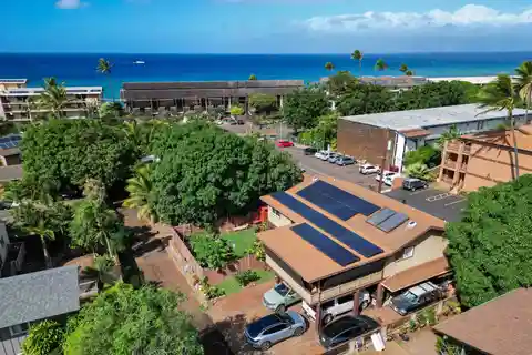 Tropical Oasis in Prime Location