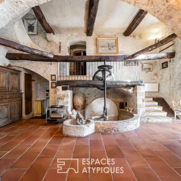 CHARMING CARROS ESTATE WITH ANCIENT OIL MILL