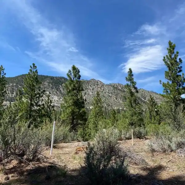 BEAUTIFUL HOMESITE IN AN EXCITING NEW COMMUNITY NEAR LAKE TAHOE