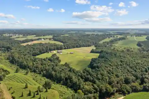 Farm
